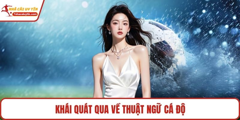 Khái quát qua về thuật ngữ cá độ