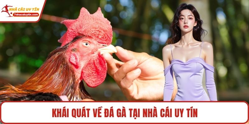 Đá Gà – Môn Giải Trí Truyền Thống Thăng Hoa Thời Đại Số 2 Khái quát về đá gà tại Nhà Cái Uy Tín