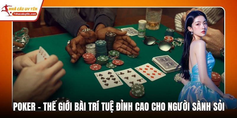 Poker – Thế Giới Bài Trí Tuệ Đỉnh Cao Cho Người Sành Sỏi 3 Poker