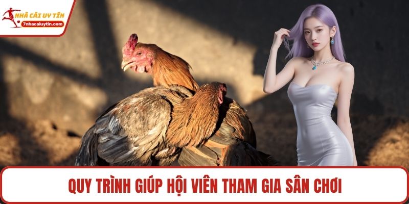 Đá Gà – Môn Giải Trí Truyền Thống Thăng Hoa Thời Đại Số 4 Quy trình giúp hội viên tham gia sân chơi