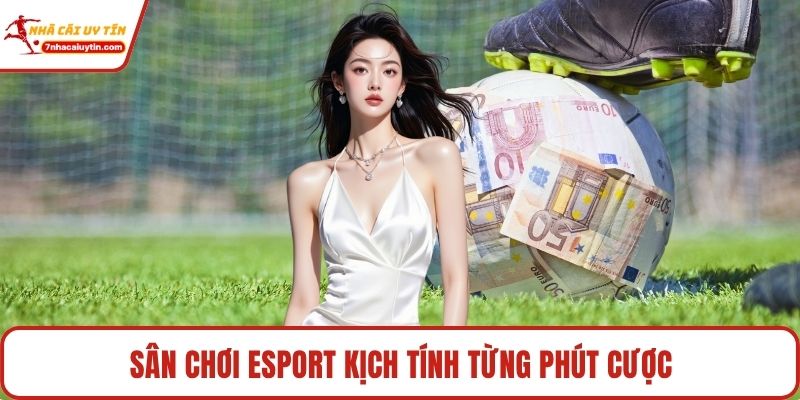 Zbet - Cổng Cá Cược Uy Tín Và Sảnh Chơi Siêu Kịch Tính 3 Sân chơi Esport kịch tính từng phút cược