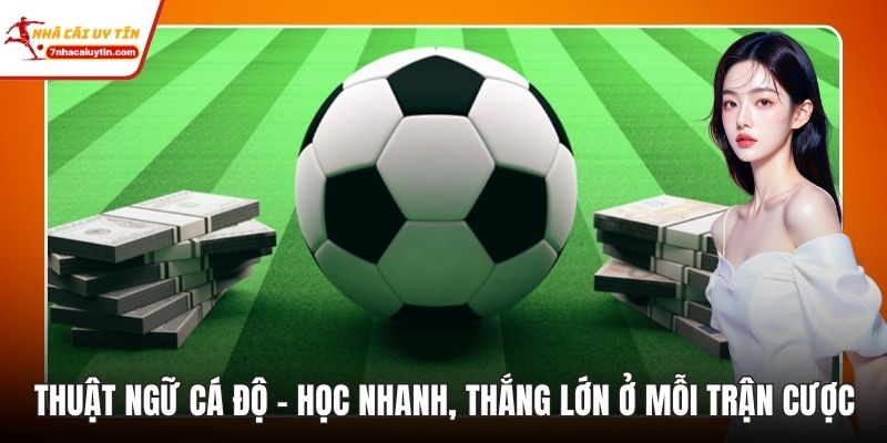 Thuật Ngữ Cá Độ - Học Nhanh, Thắng Lớn Ở Mỗi Trận Cược 3 Thuật Ngữ Cá Độ