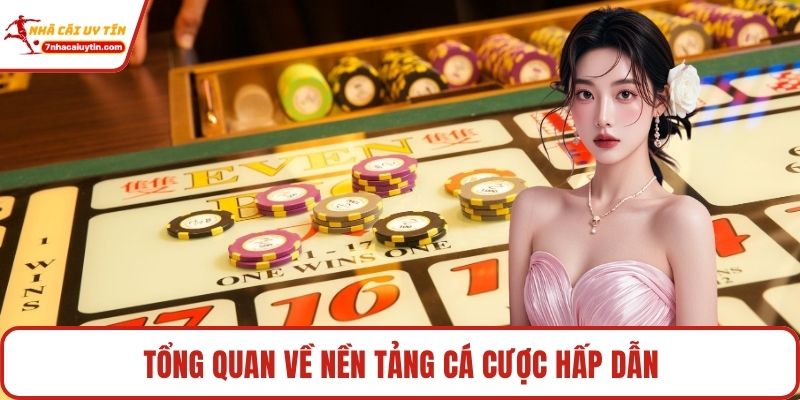11win – Sảnh Game Đặt Cược Đỉnh Cao Cho Hội Viên Đam Mê 2 Tổng quan về nền tảng cá cược hấp dẫn